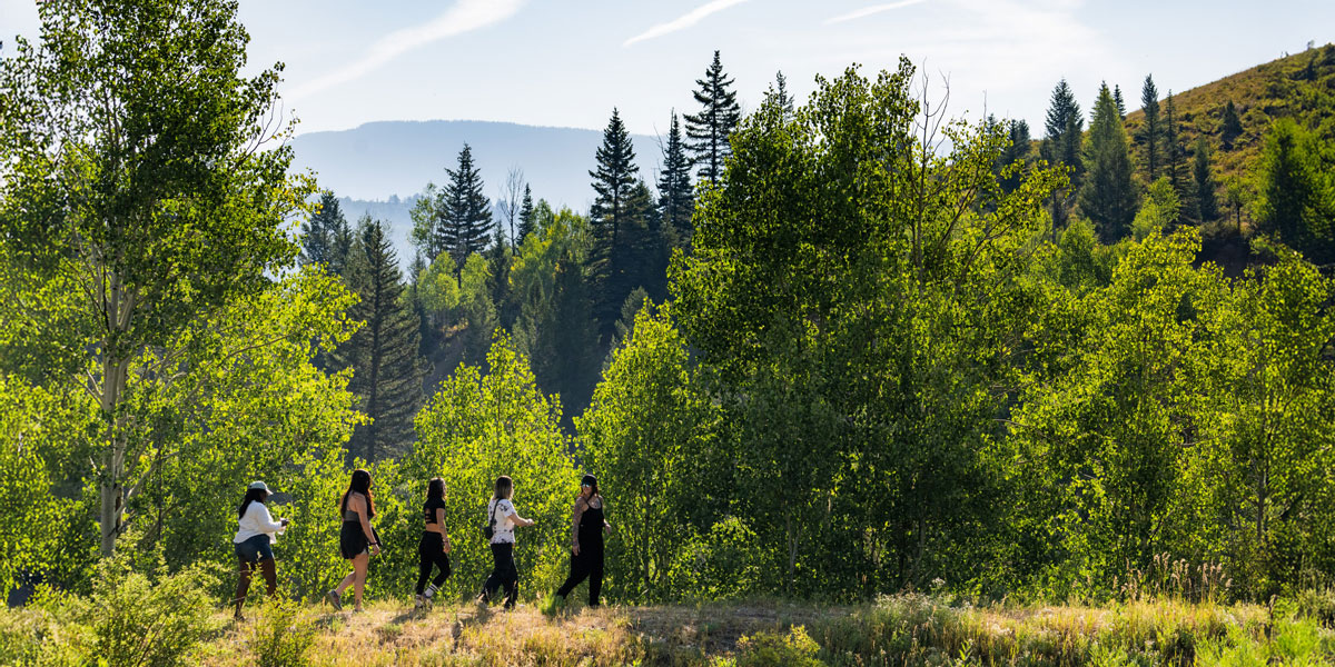 A group of five people hike along a grassy ridge surrounded by tall green trees, with a backdrop of forested hills and a clear blue sky.